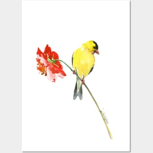 American Goldfinch and red Flower Posters and Art